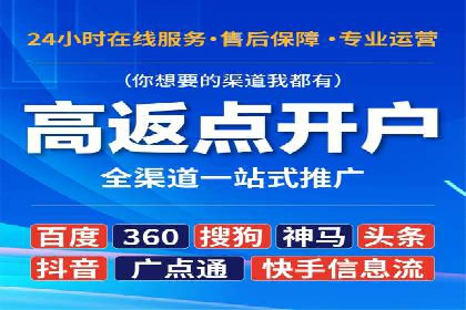 百度竞价广告案例分析：成功之道揭秘
